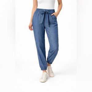 Anthropologie Globetrotter Blue Chambray Denim Joggers - Size Small
